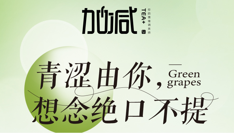 好博青提系列新品纯真上线